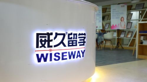 王伟 赤子雄心 见证国际教育二十年